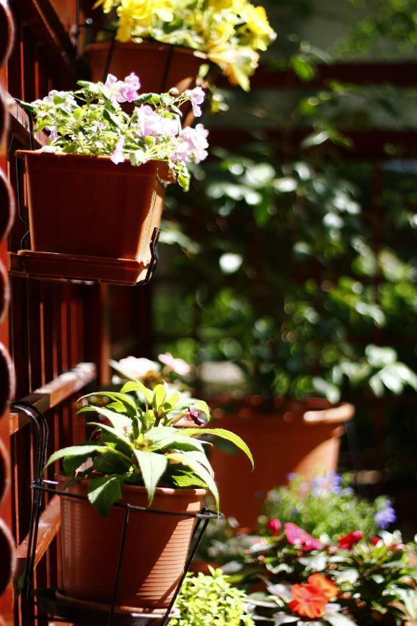 Downtown Garden Isle In Urban Style-Free Parking Budapeste Exterior foto
